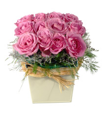 Flower Arrangement of Roses in Rows