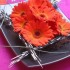 Gerbera Daisies Centrepiece