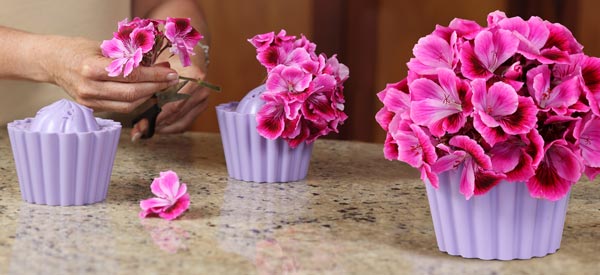 Cupcake Flower Vase