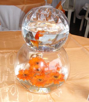 Goldfish & Gerbera Centerpiece Goldfish & Gerbera Centerpiece