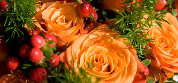 Orange Roses And Red Berries