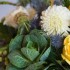 Mothers Day Bouquet: Kale Roses, Hypericum, Dahlias, Thistle, Poppy and Scabiosa Pods