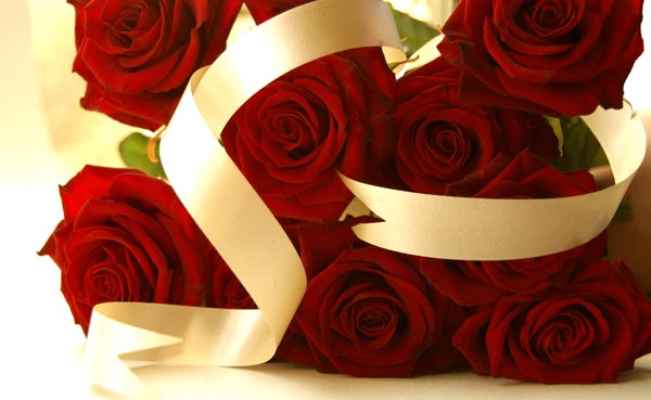 Valentines Day Stacked Red Roses